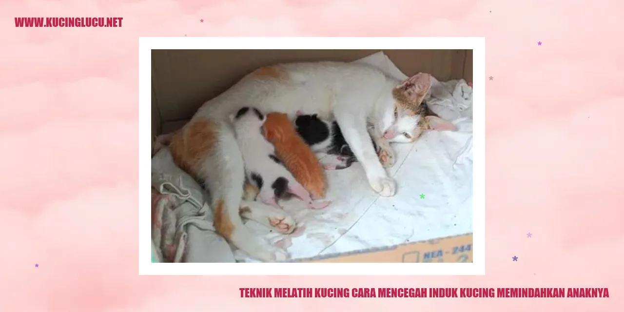 Gambar Kucing