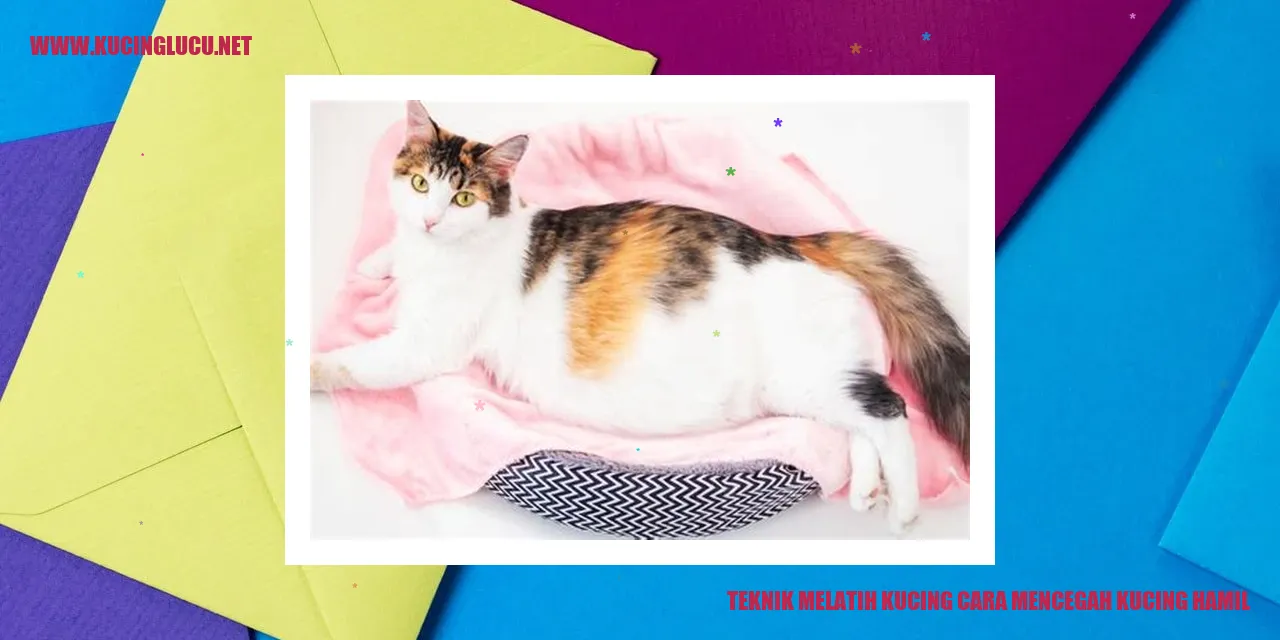 Gambar Kucing Menggemaskan