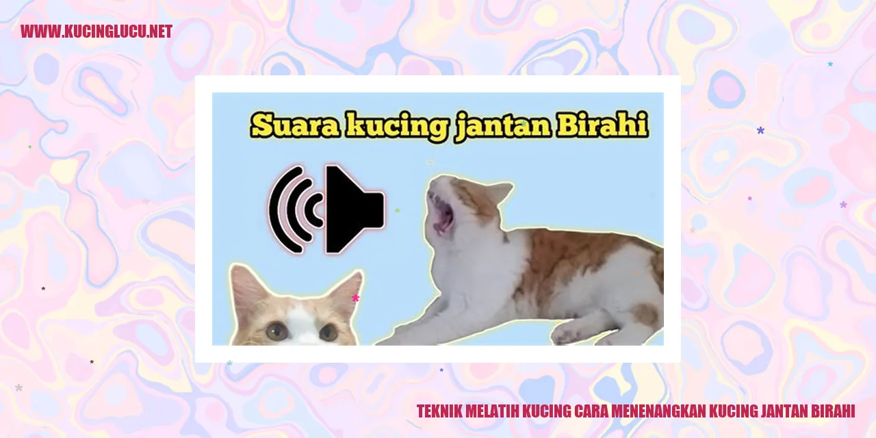 Teknik Melatih Kucing cara menenangkan kucing jantan birahi