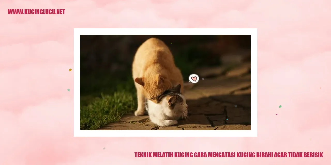 Kucing Birahi