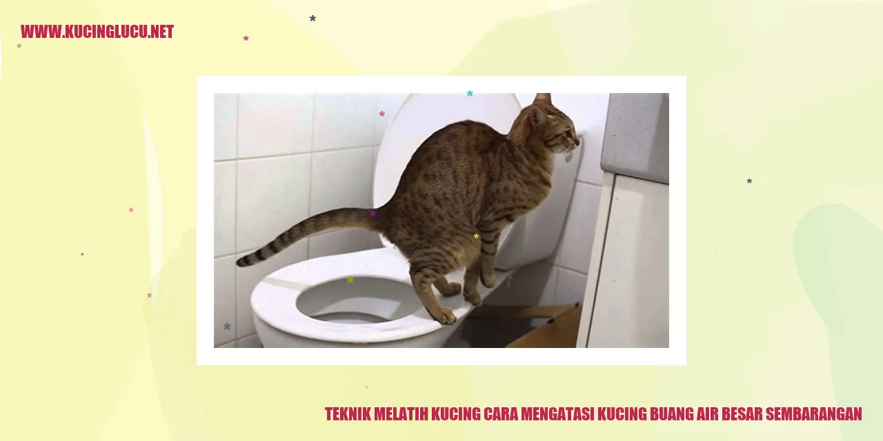 ilustrasi kucing