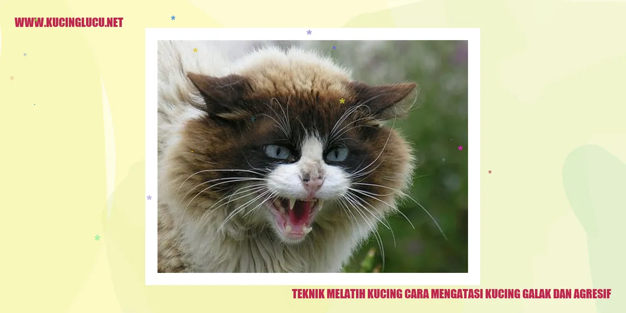 Cara mengatasi kucing yang galak dan agresif