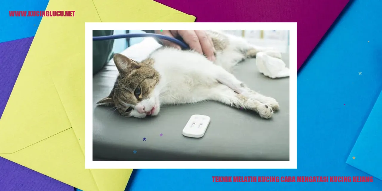 Ilustrasi Kucing Kejang