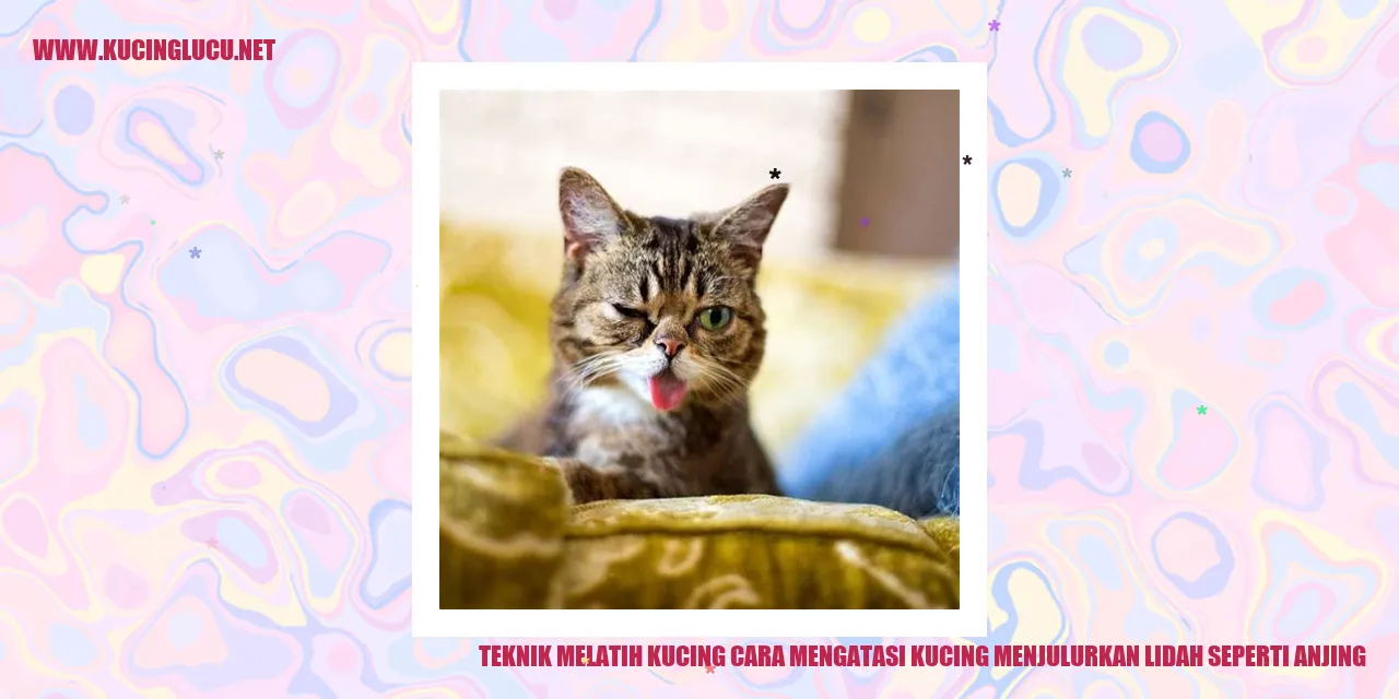 kucing menjulurkan lidah