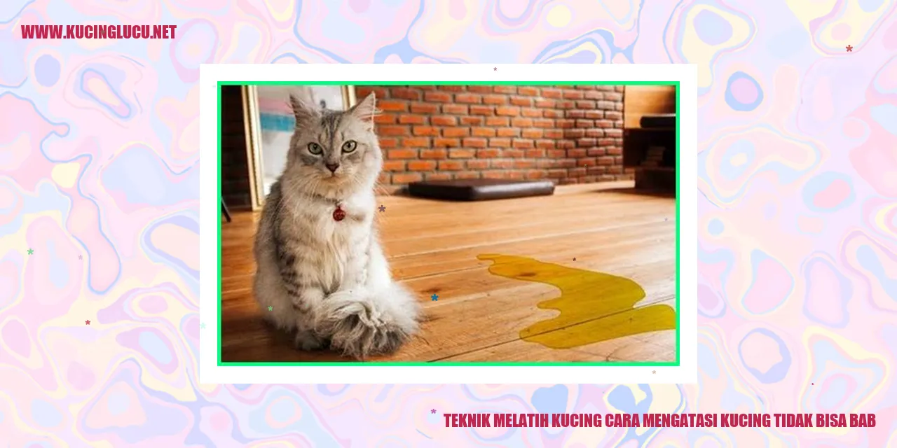 Teknik Melatih Kucing Mengatasi Kesulitan Buang Air Besar