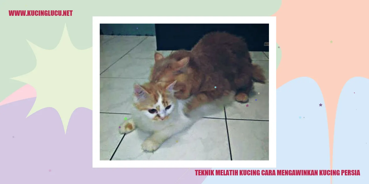 Kucing Persia