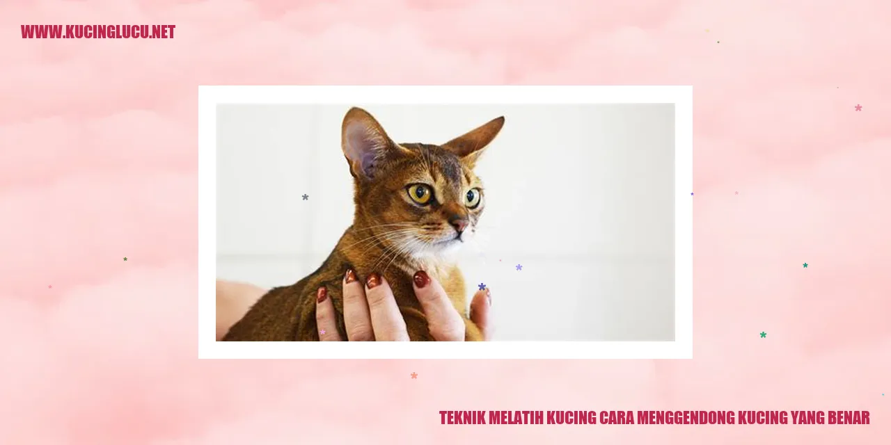 Teknik Menggendong Kucing dengan Benar