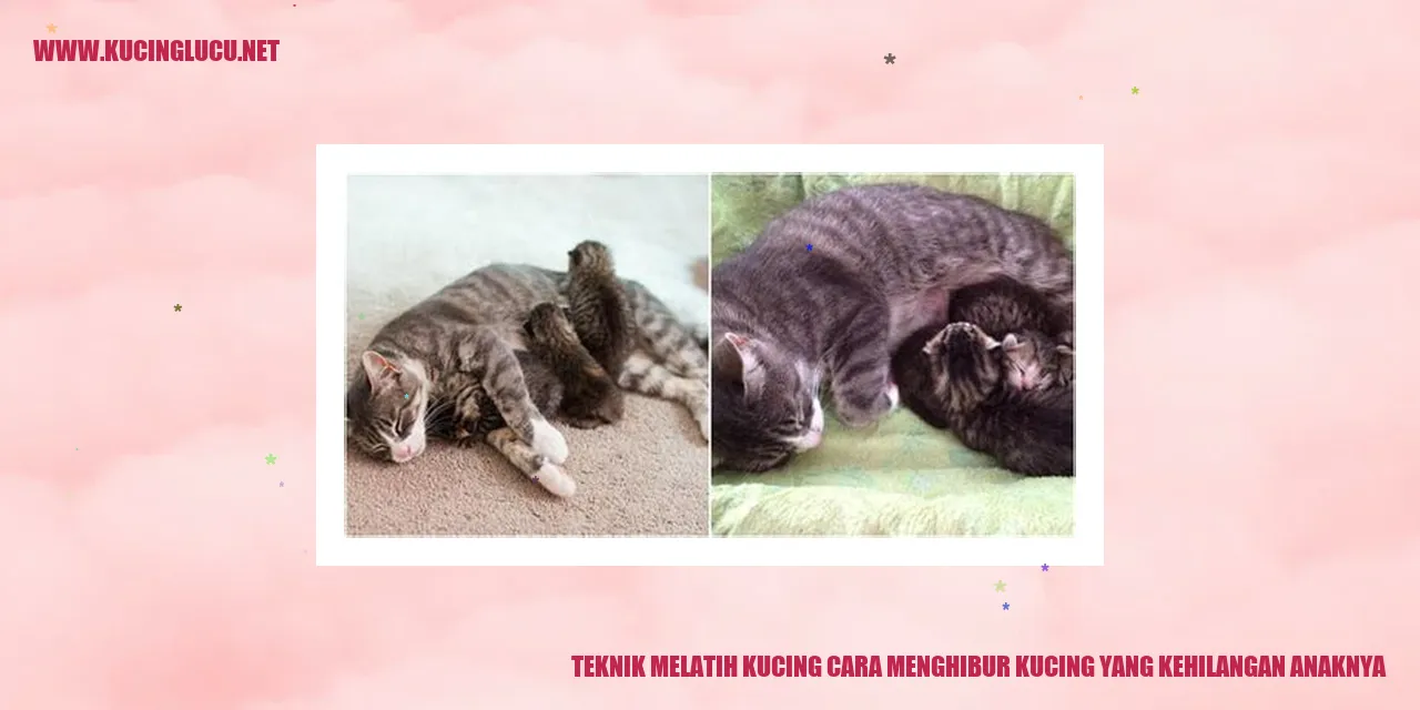 Kucing Menghibur