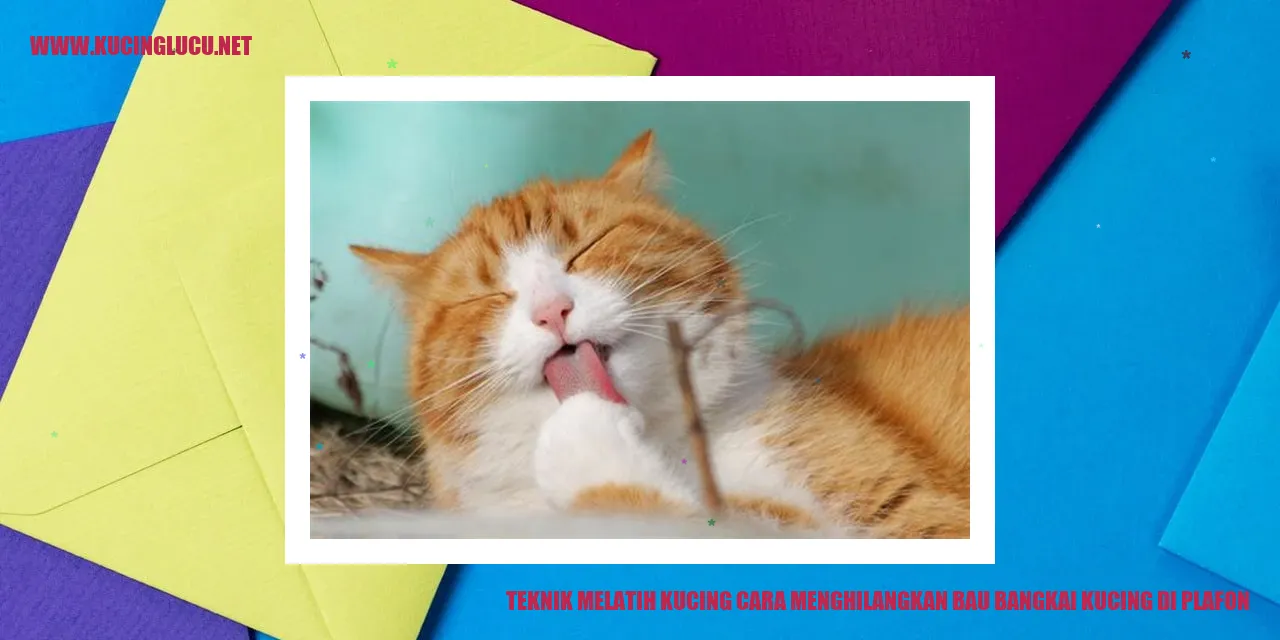 kucing membersihkan bau bangkai di plafon