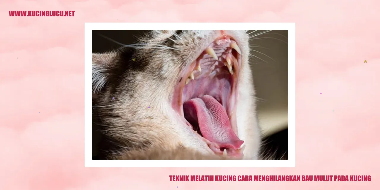 Teknik Melatih Kucing Cara Menghilangkan Bau Mulut pada Kucing