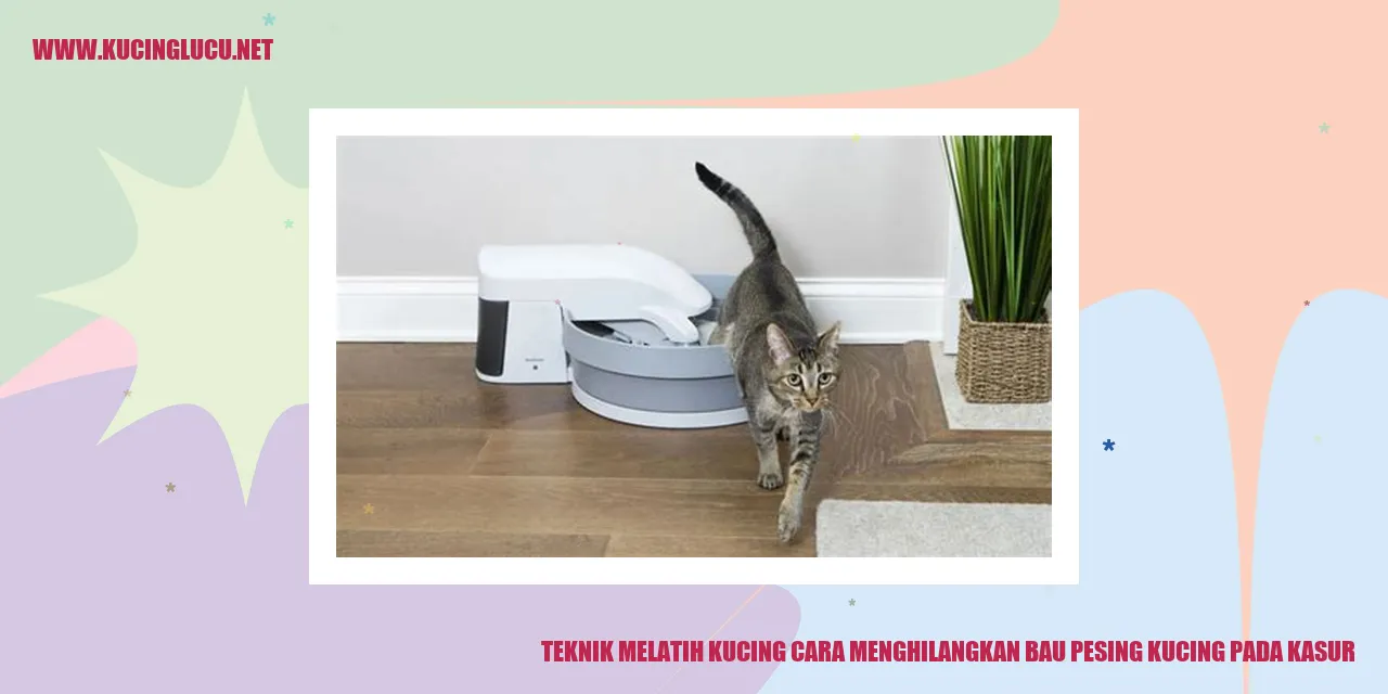 gambar kucing yang menggemaskan