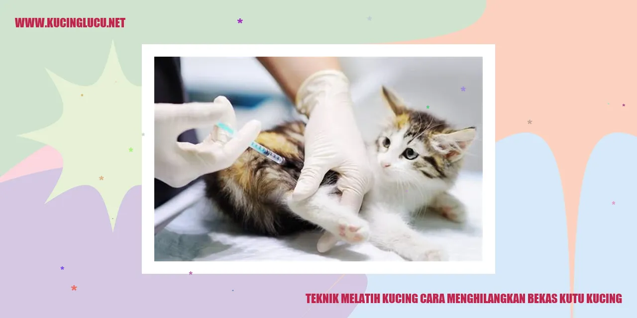 Kucing menghilangkan bekas kutu