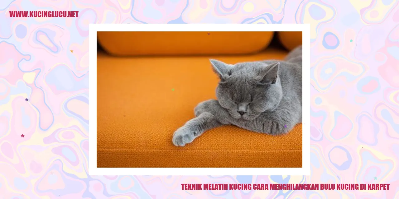 Kucing Menghilangkan Bulu di Karpet