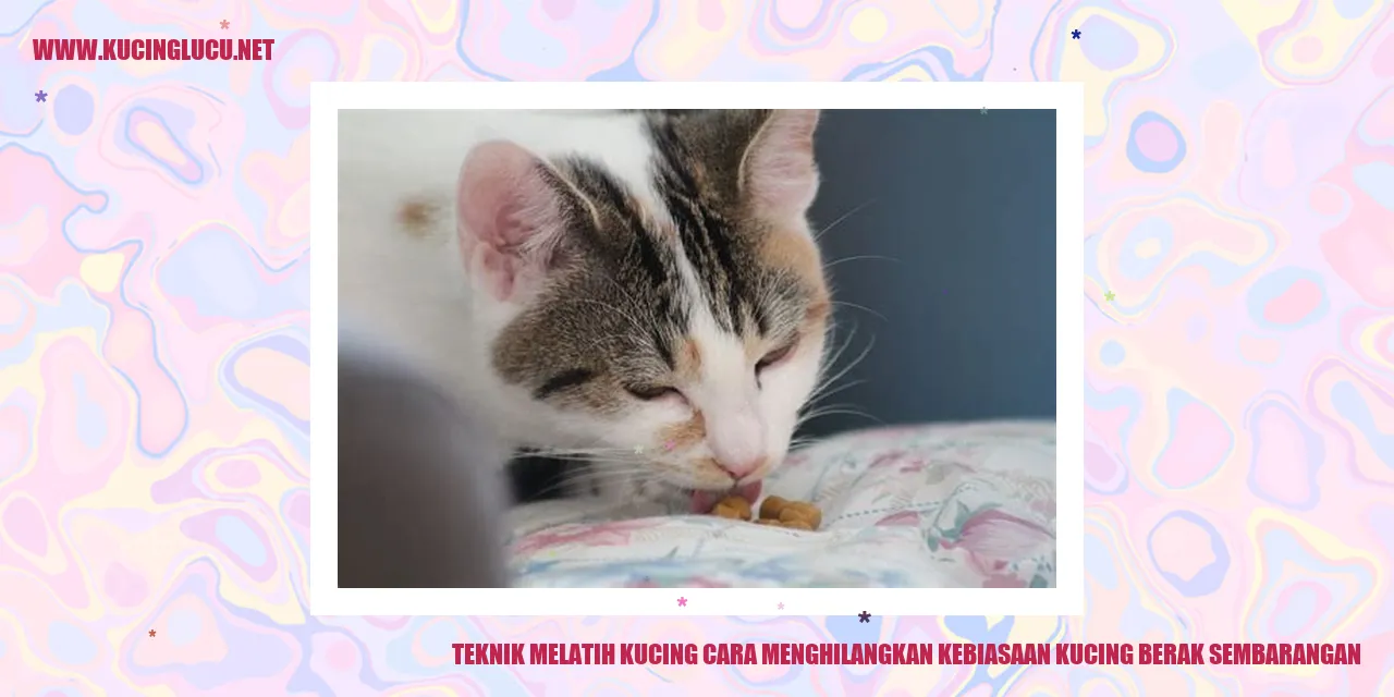 Gambar: Kucing Menggunakan Kotak Pasir