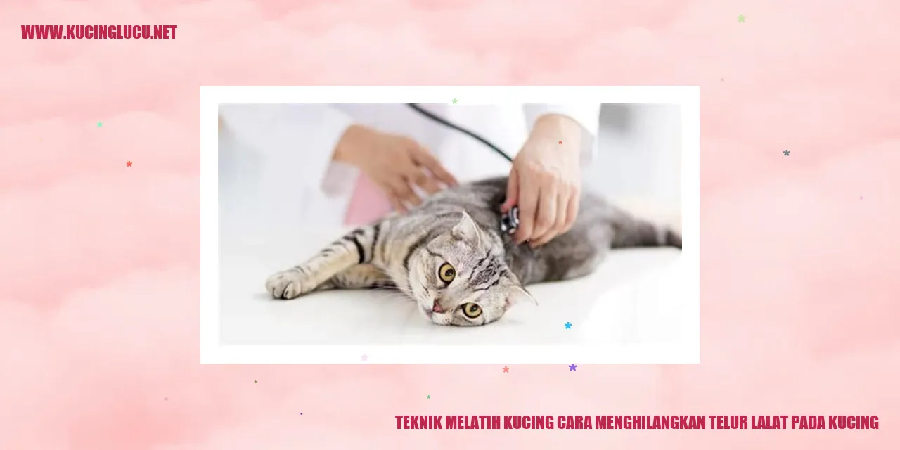 Gambar Kucing