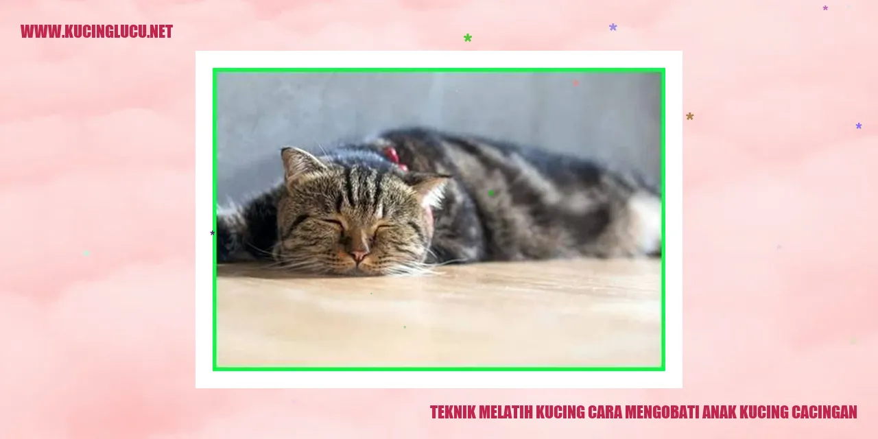 Gambar Anak Kucing Cacingan