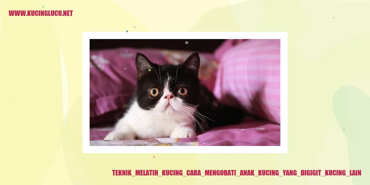 Kucing yang digigit