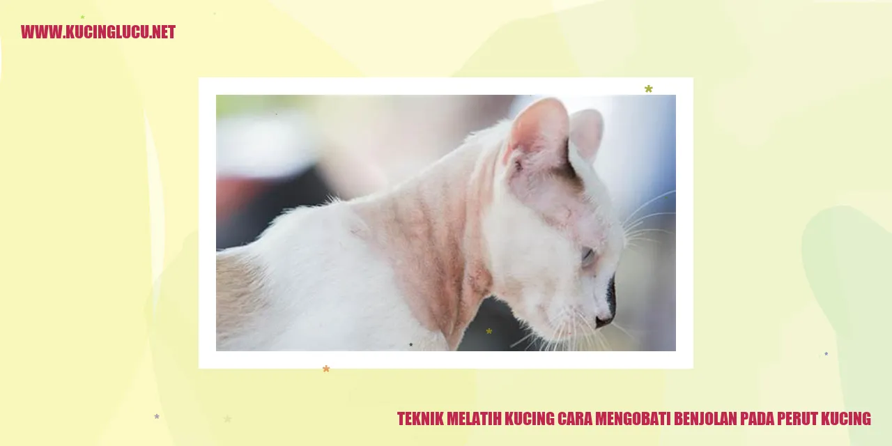 Gambar ilustrasi benjolan pada perut kucing