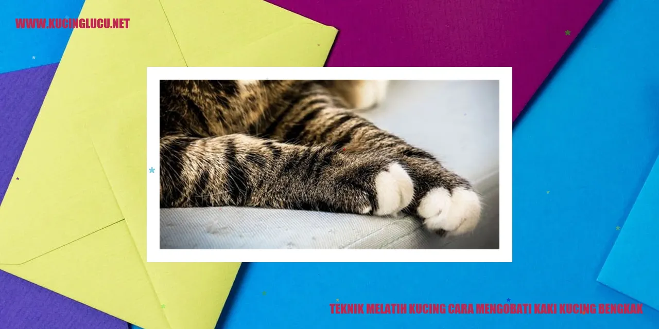 Teknik Melatih Kucing cara mengobati kaki kucing bengkak