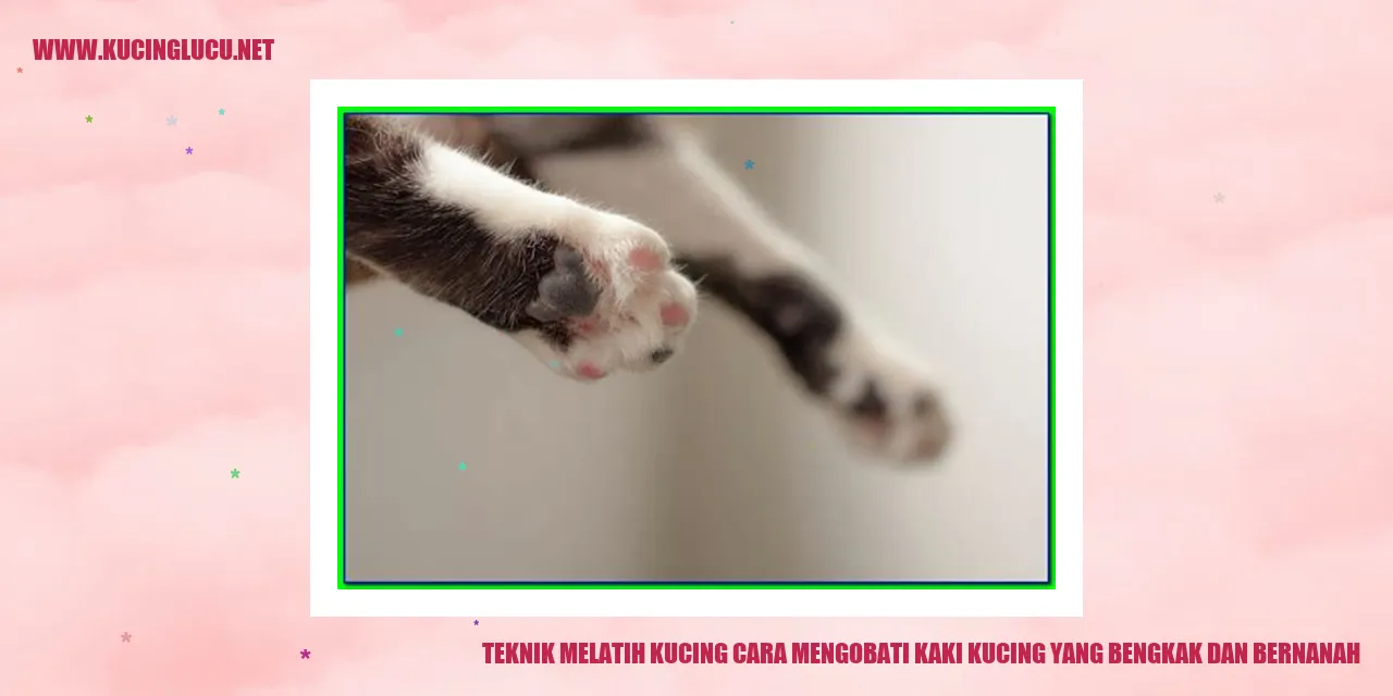 gambar kucing sakit