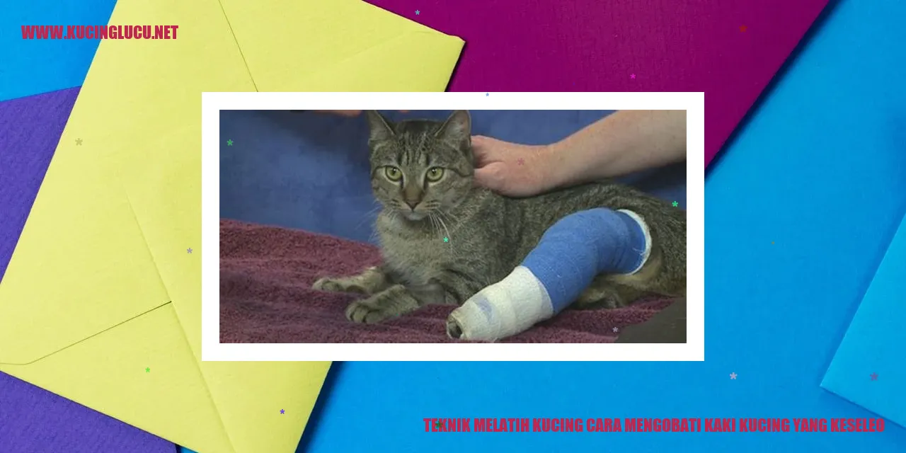 Teknik Melatih Kucing cara mengobati kaki kucing yang keseleo