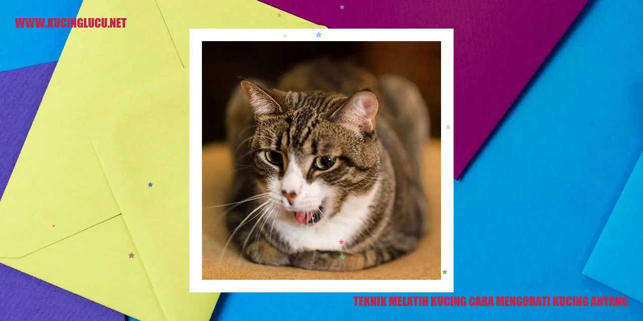Kucing Mengobati Kucing Anyang