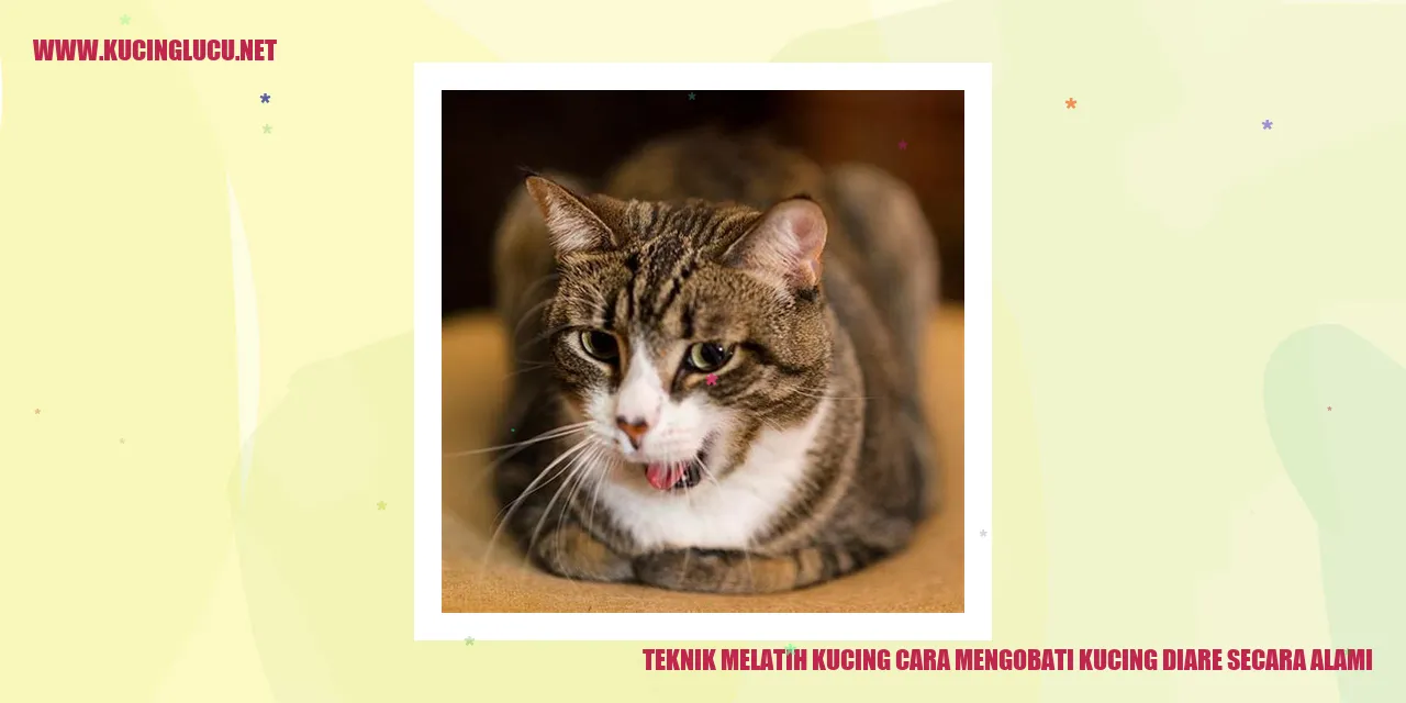 Teknik Membimbing Kucing dalam Penanganan Diare secara Alami