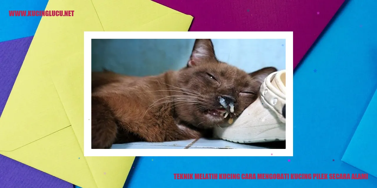 Perawatan Pilek pada Kucing