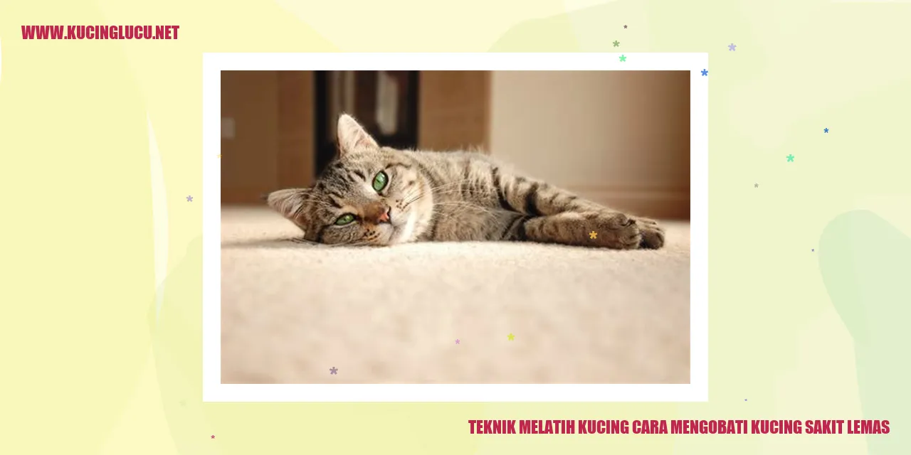 Gambar Kucing Mengobati Sakit lemas