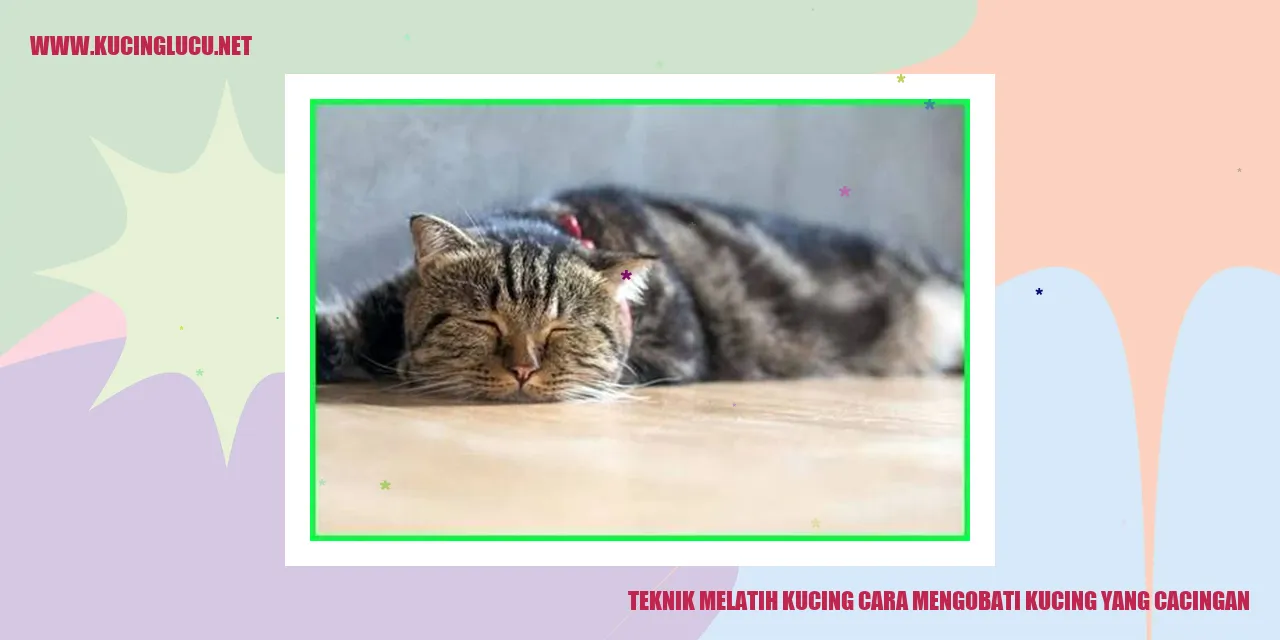 Mengatasi Kucing yang Terinfeksi Cacing