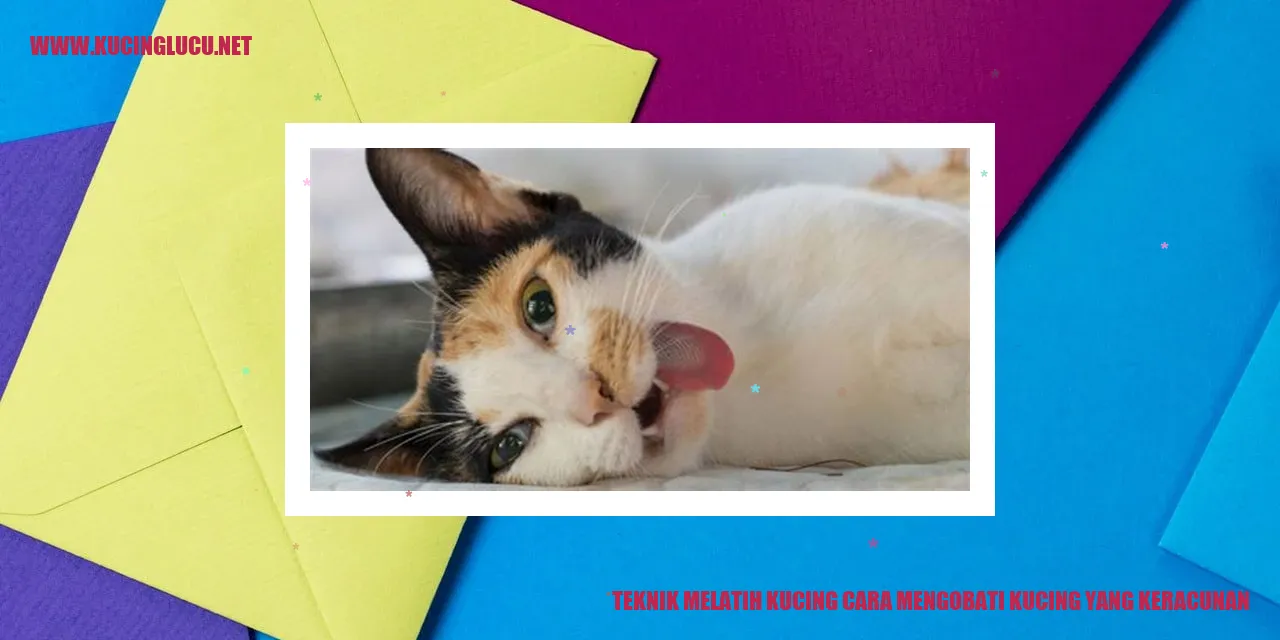 Melatih Kucing