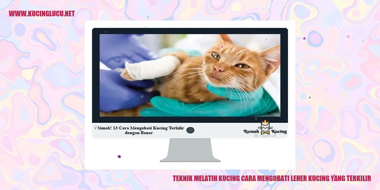 Kucing yang mengalami cedera pada lehernya