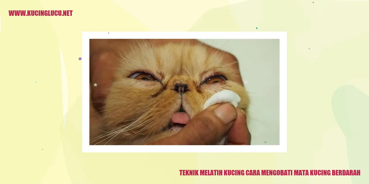 Mata Kucing Berdarah