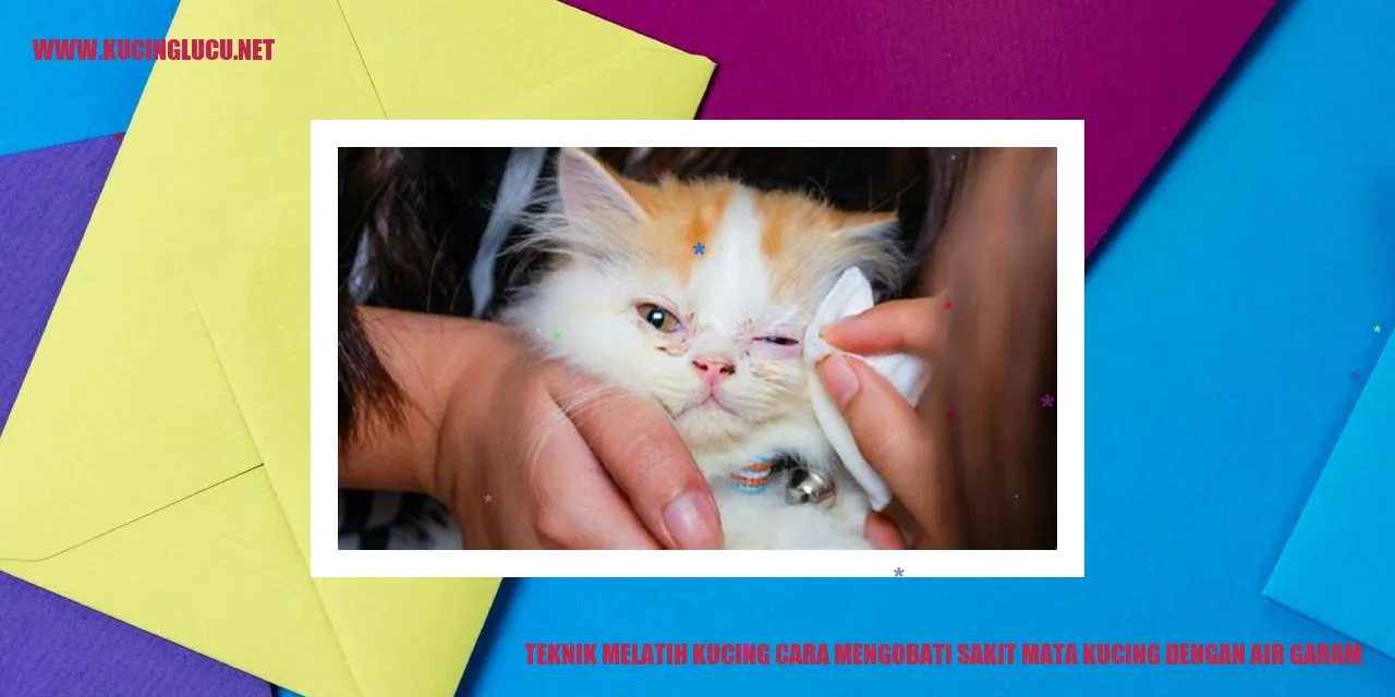 Gambar Kucing dengan Mata yang Bermasalah