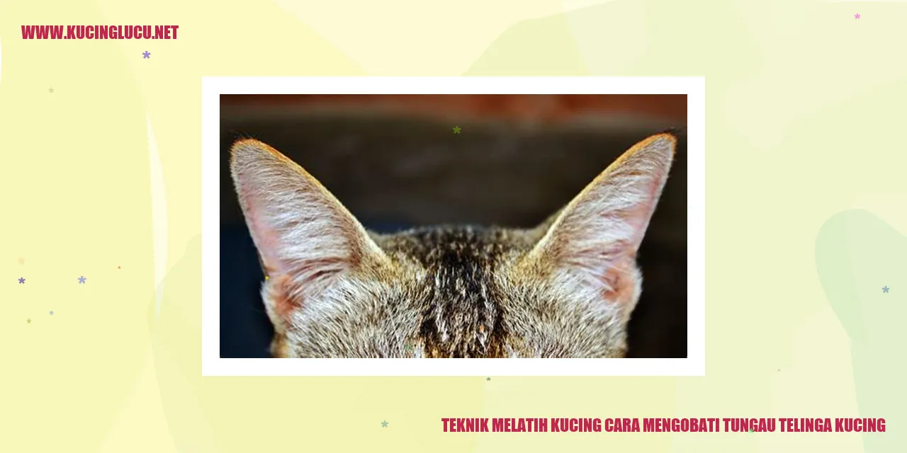 Gambar Kucing