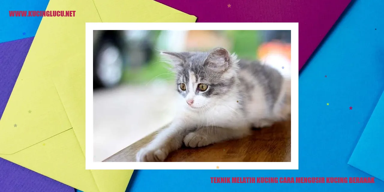 foto kucing melahirkan