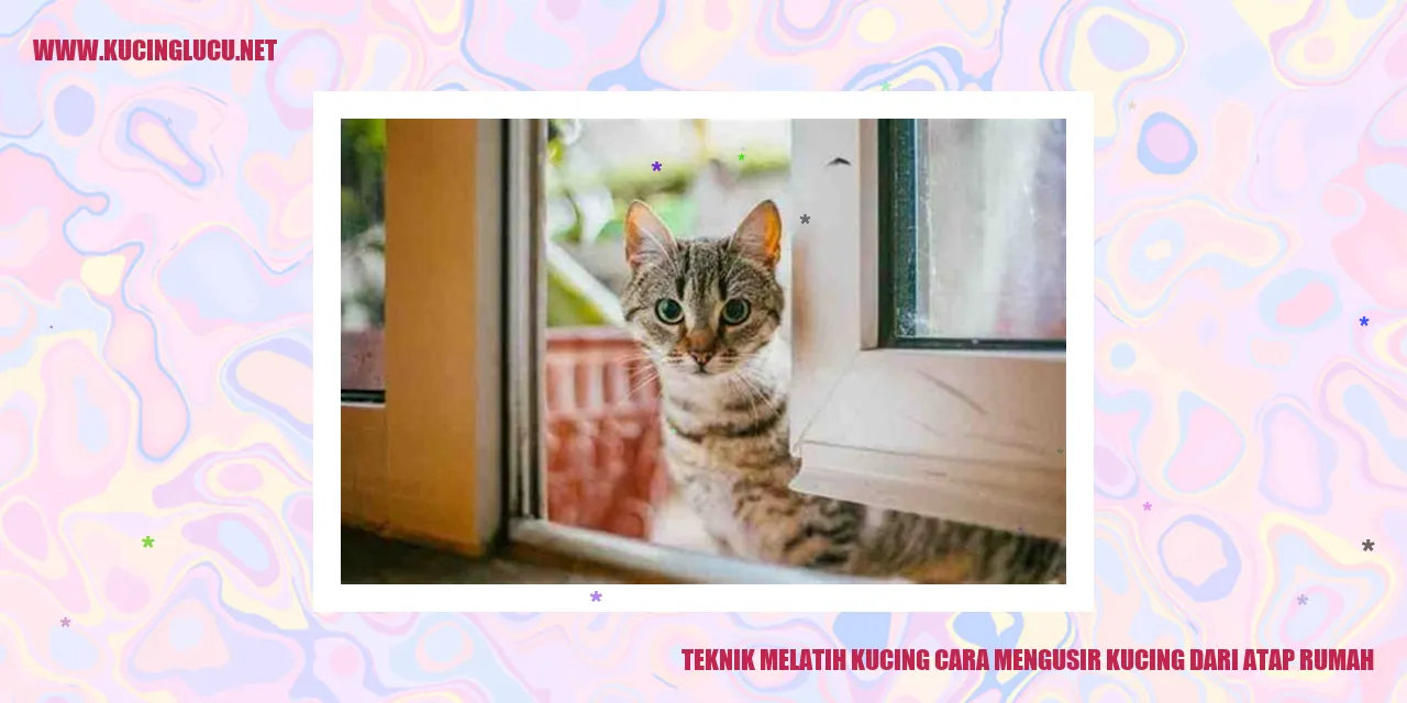 Gambar Kucing di Atap Rumah