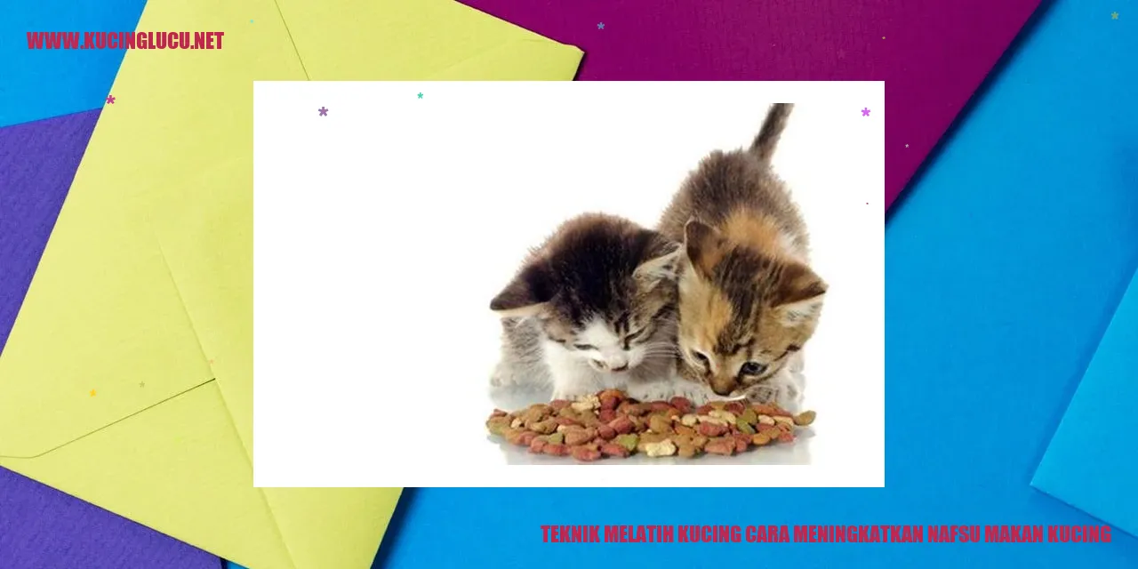 Gambar Kucing Menikmati Makanan