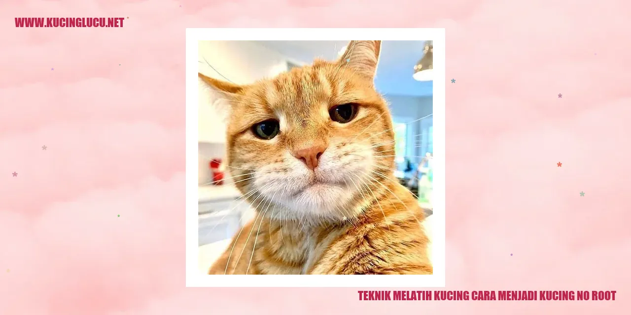 Melatih Kucing yang Efektif