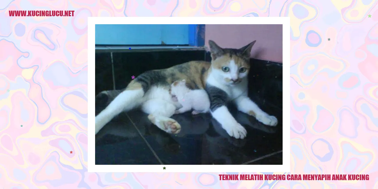 Kucing dan Anak Kucing
