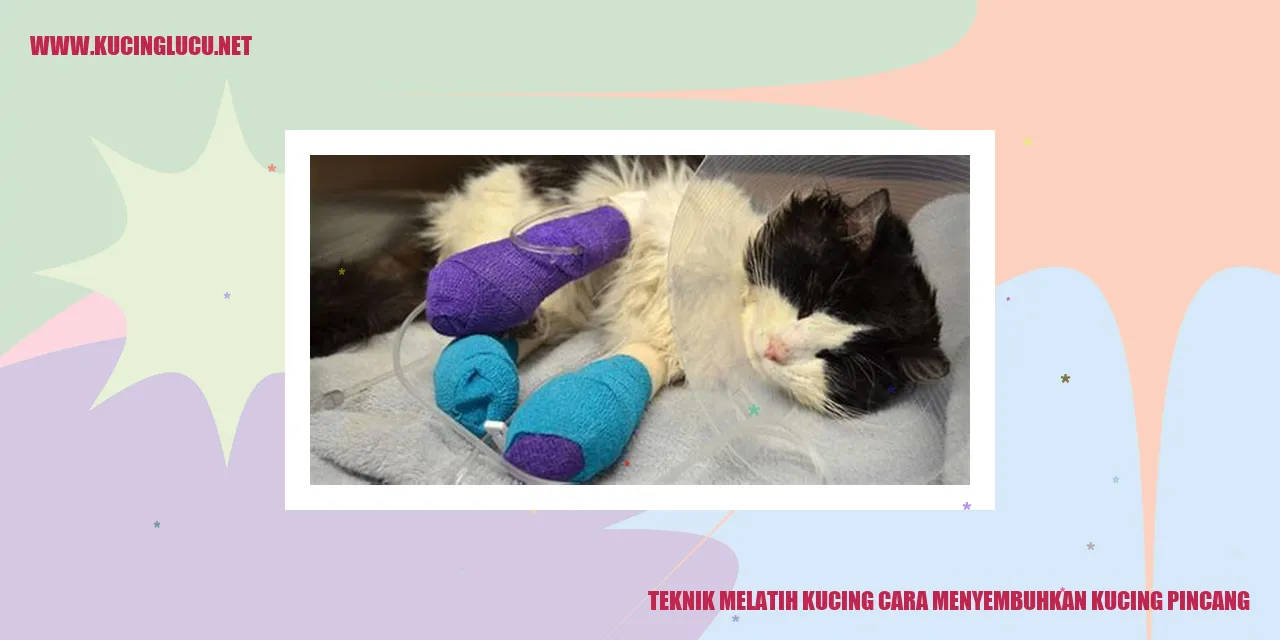 Gambar Kucing Pincang
