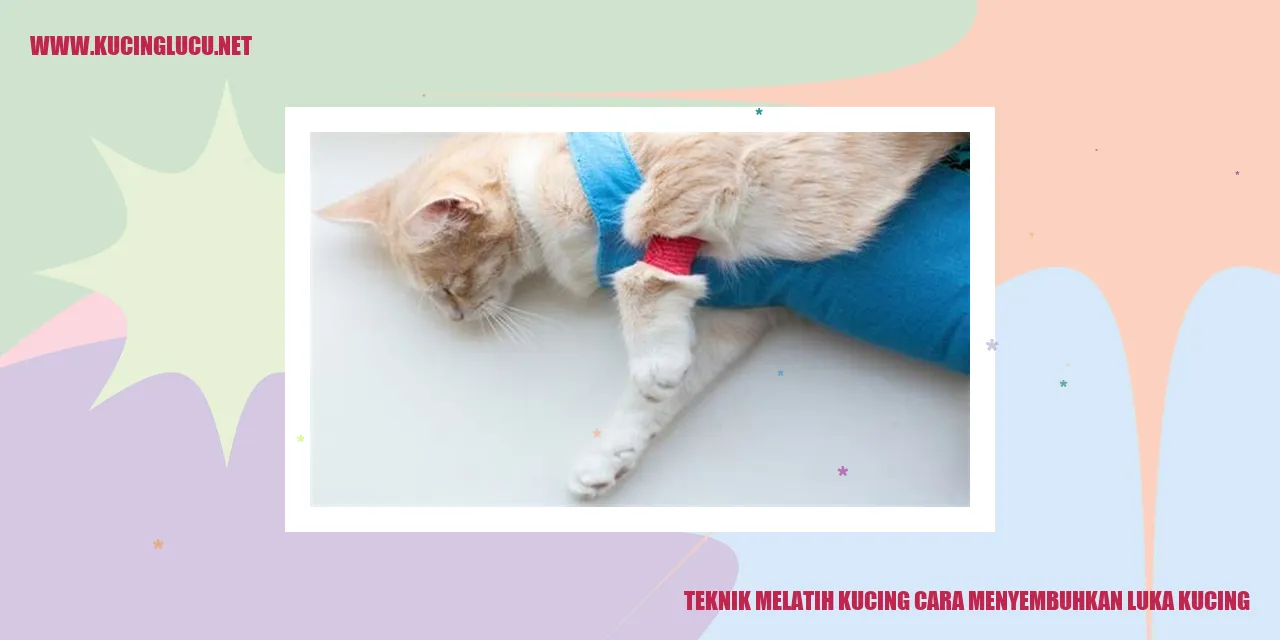 Kucing sedang disembuhkan