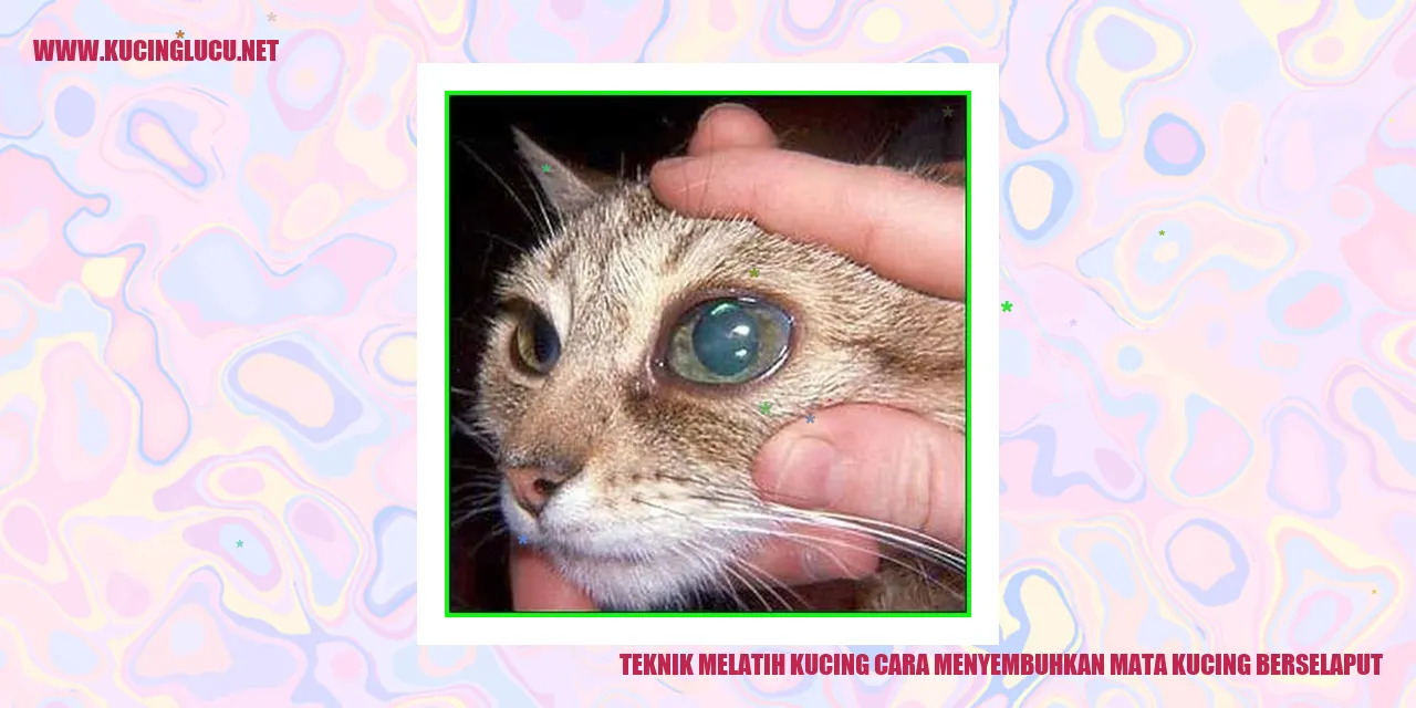 kucing dengan mata berselaput
