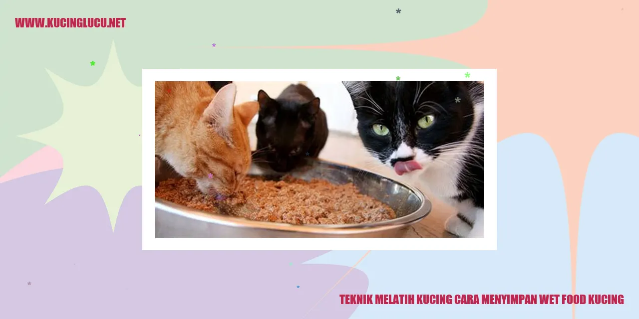 Gambar makanan basah kucing