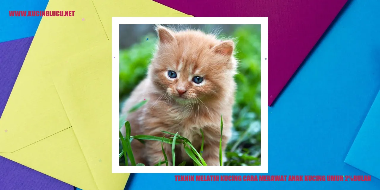 Ilustrasi anak kucing