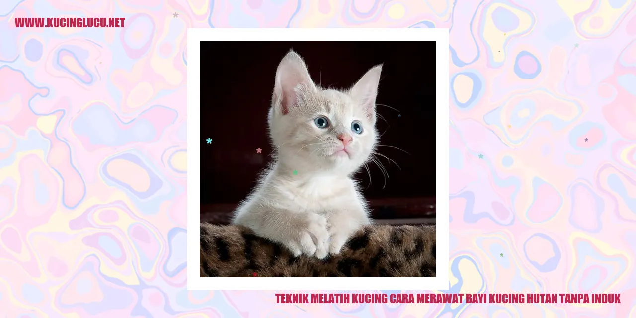 Gambar Kucing Hutan