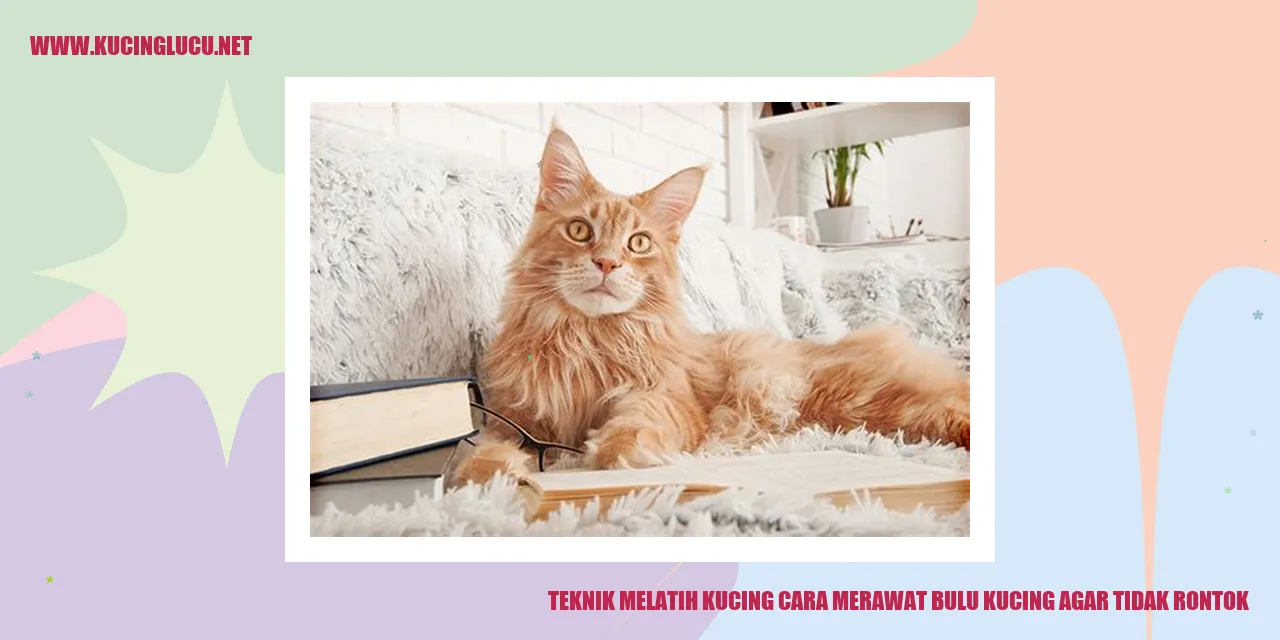 Gambar Kucing dengan Bulu Indah