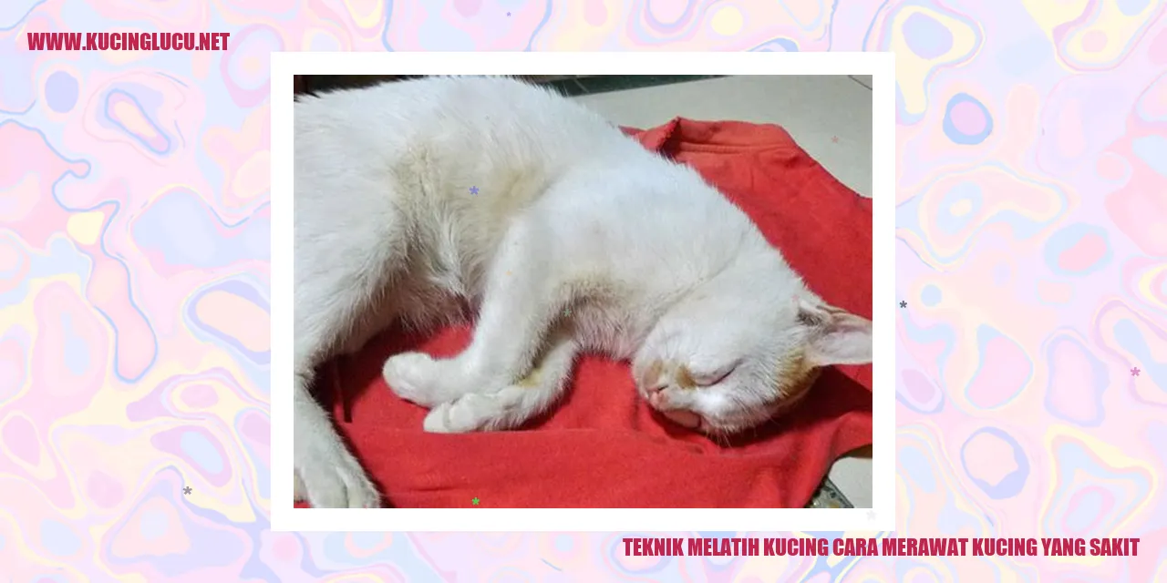 gambar kucing sakit