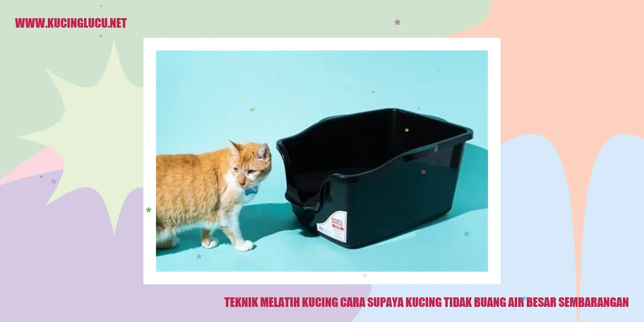 Gambar Kucing Lucu