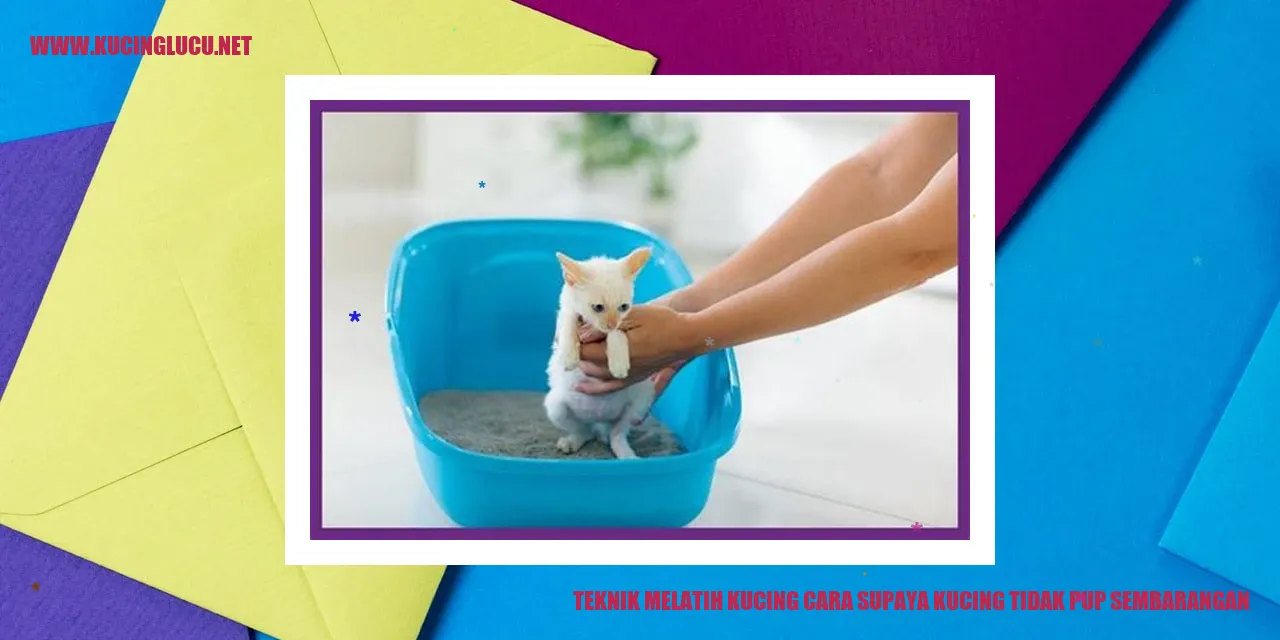 Teknik Melatih Kucing